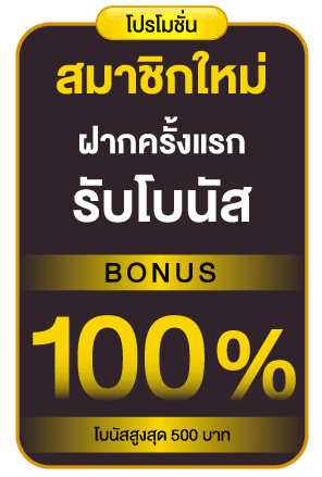 โบนัส100%